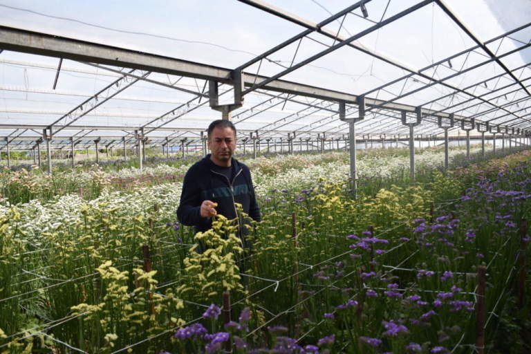 ampio assortimento floreale da Gargiulo e C. s.s.