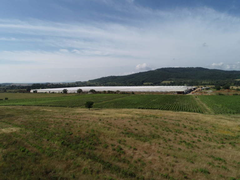 innovazione sfera agricola