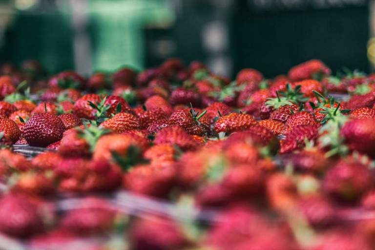 fragole