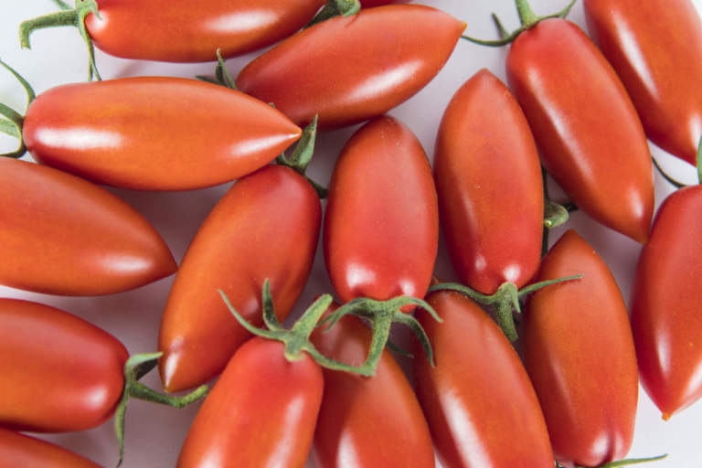 pomodoro