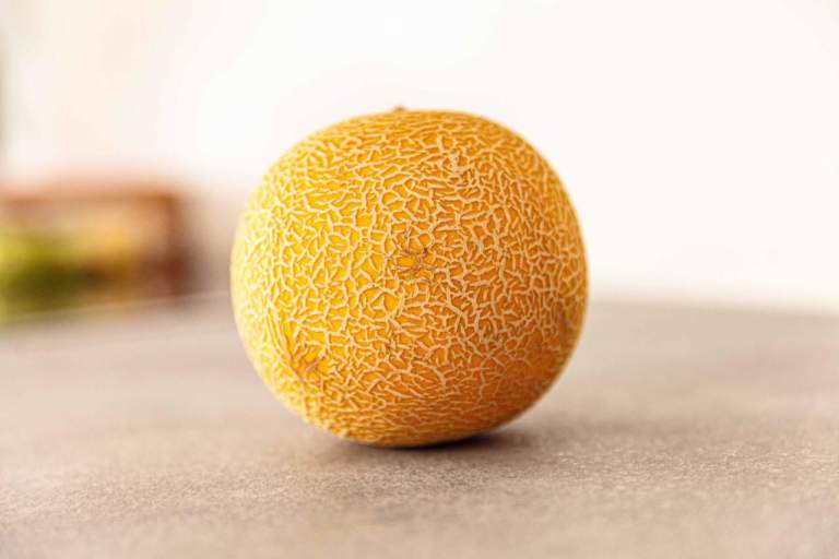 melone ortofrutta italia