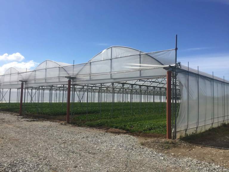 coperture