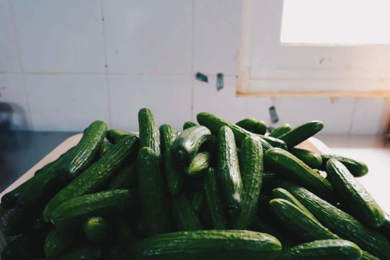 zucchine