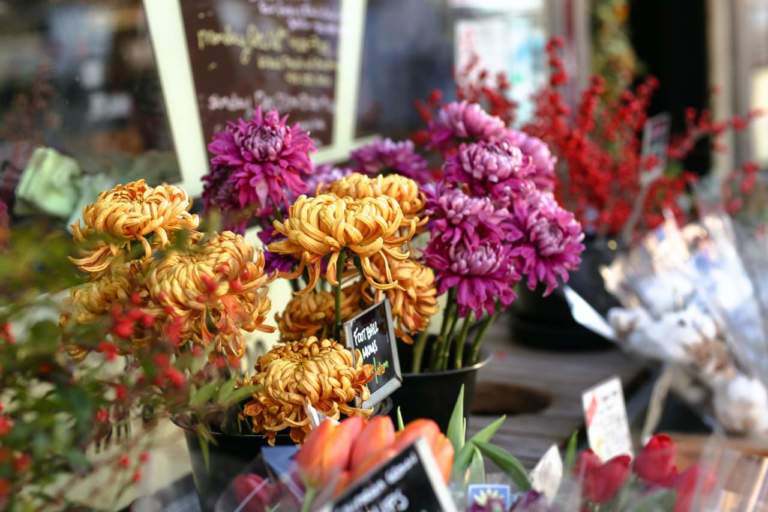 Incontro nazionale floricoltori