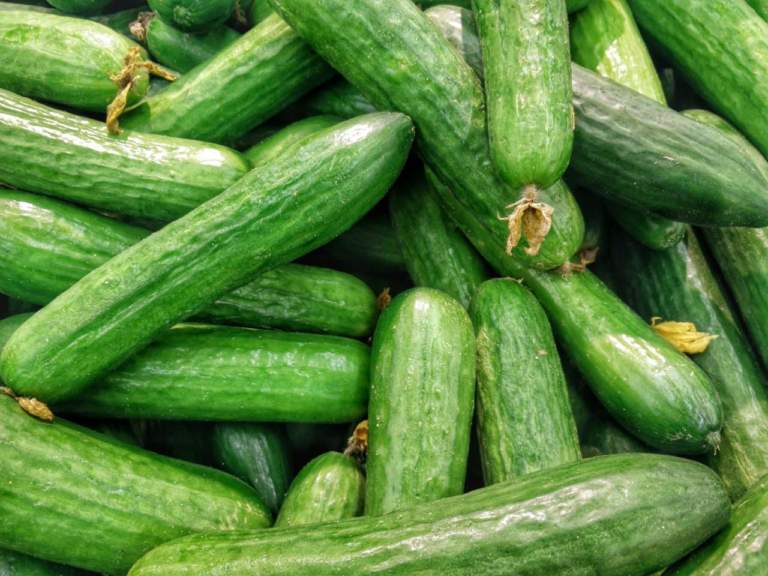 anguria zucchine