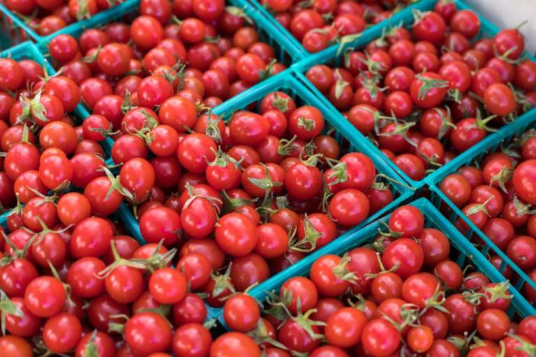 prezzi all'ingrosso dei pomodori