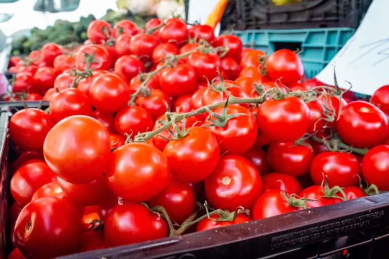 prezzi all'ingrosso pomodori