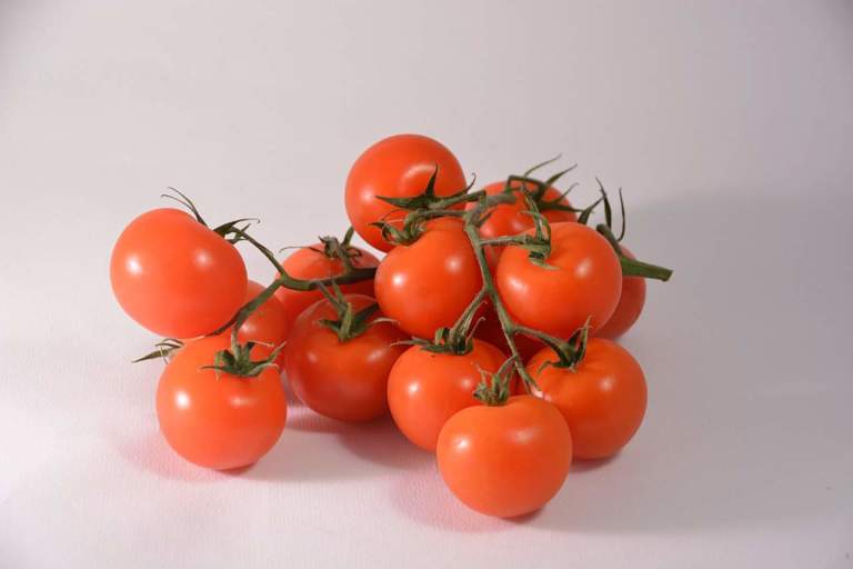prezzi pomodori dicembre 2020