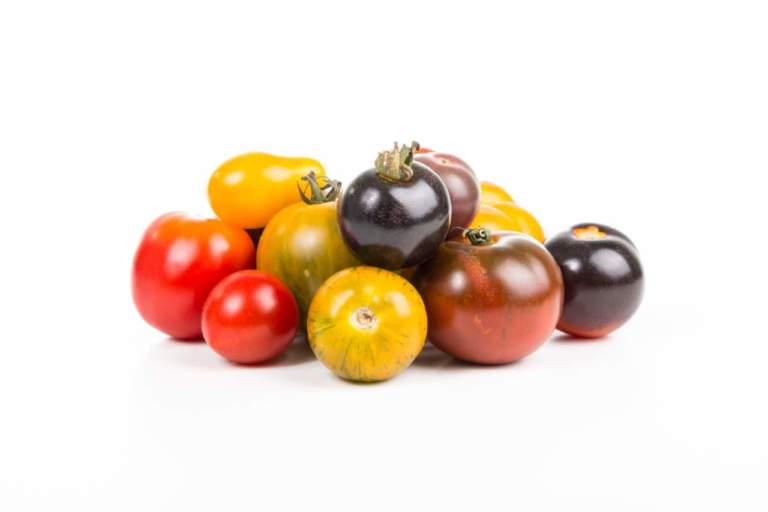 prezzi pomodori
