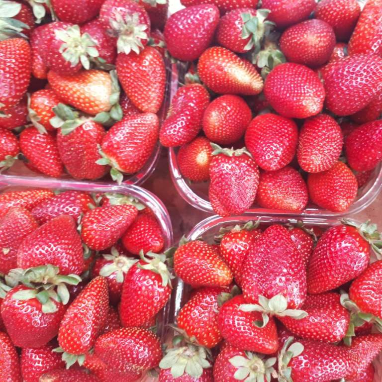 prezzi ingrosso fragole