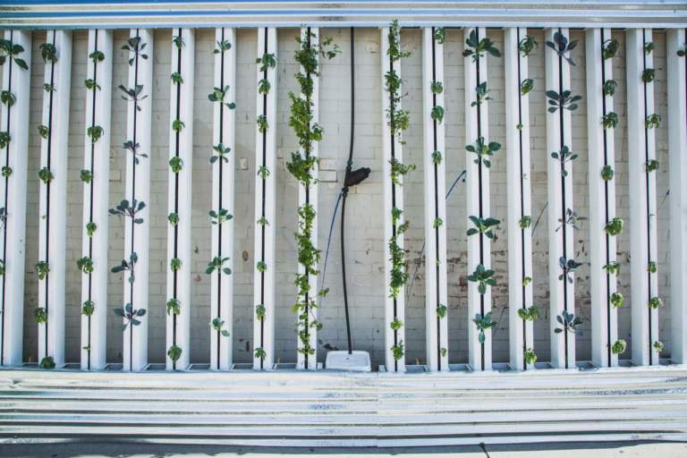 vertical farming