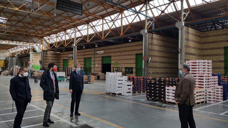 Mercato ortofrutticolo Cesena lavori