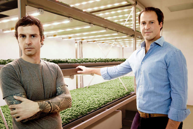 vertical farming
