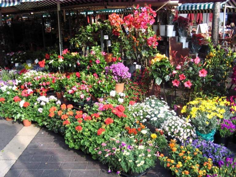 negozio di fiori