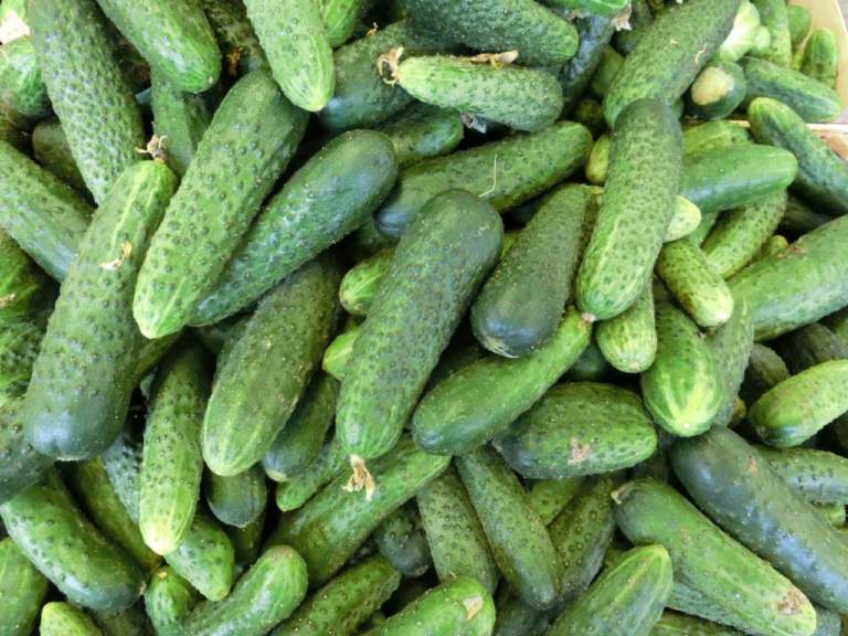 cetrioli