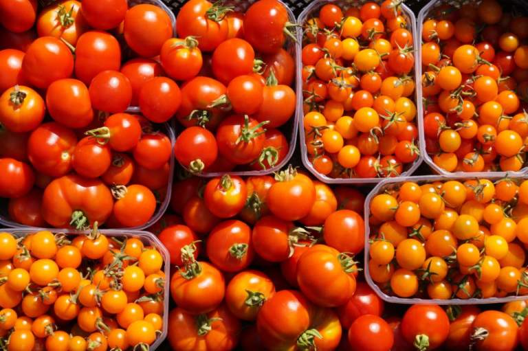 pomodori