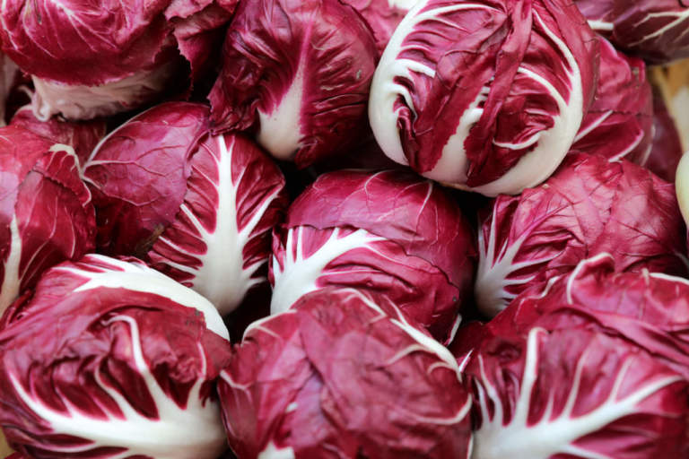 Radicchio Rosso