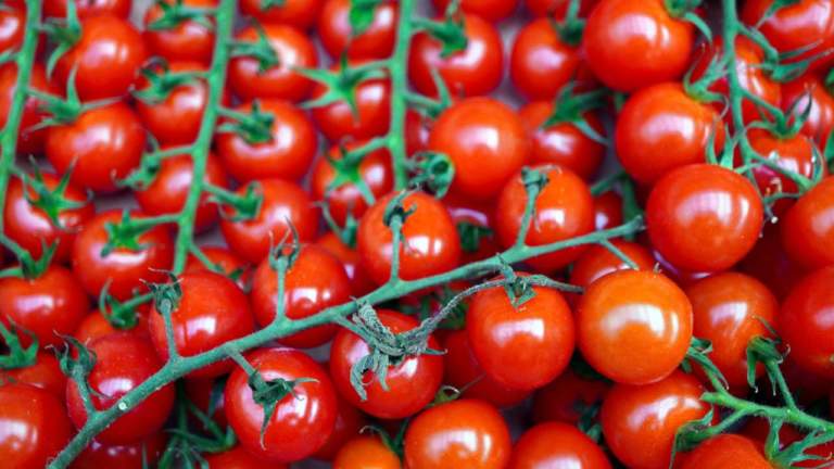 pomodori