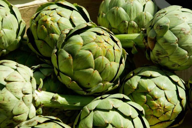 carciofi