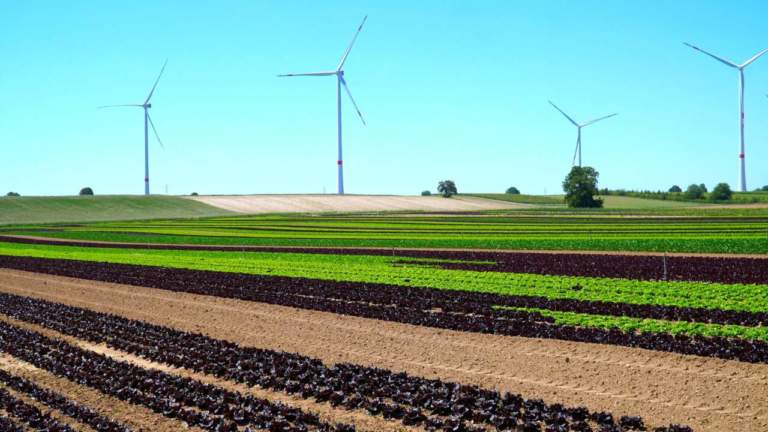 energia e agricoltura