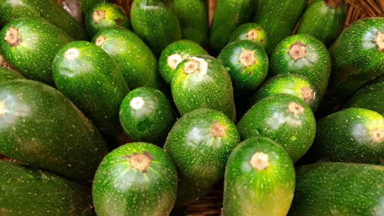zucchine
