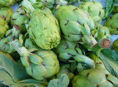 carciofi