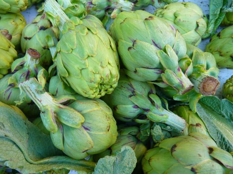 carciofi