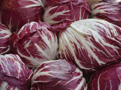 radicchio