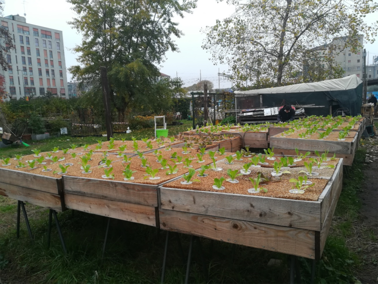 orti in ambiente urbano