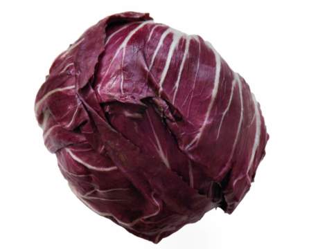 radicchio