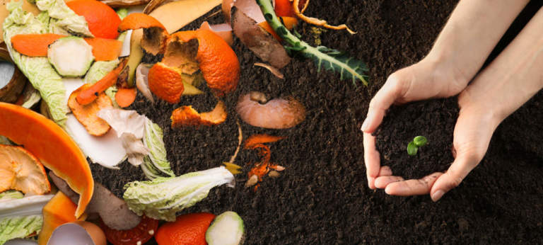 agricoltura circolare