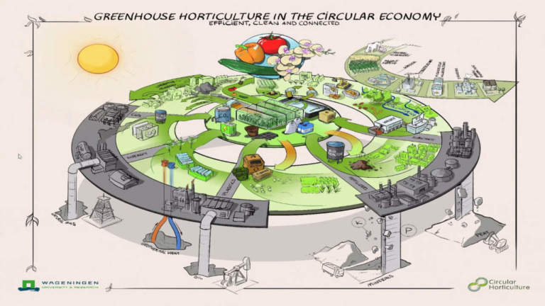 economia circolare