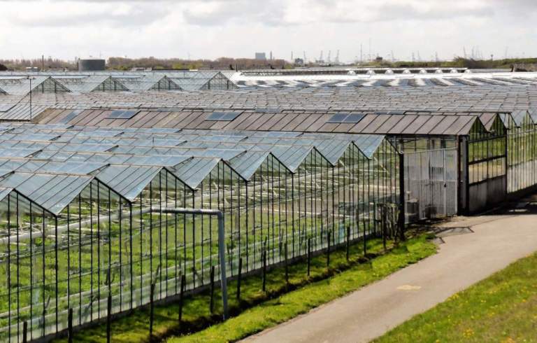 prezzo dell'energia