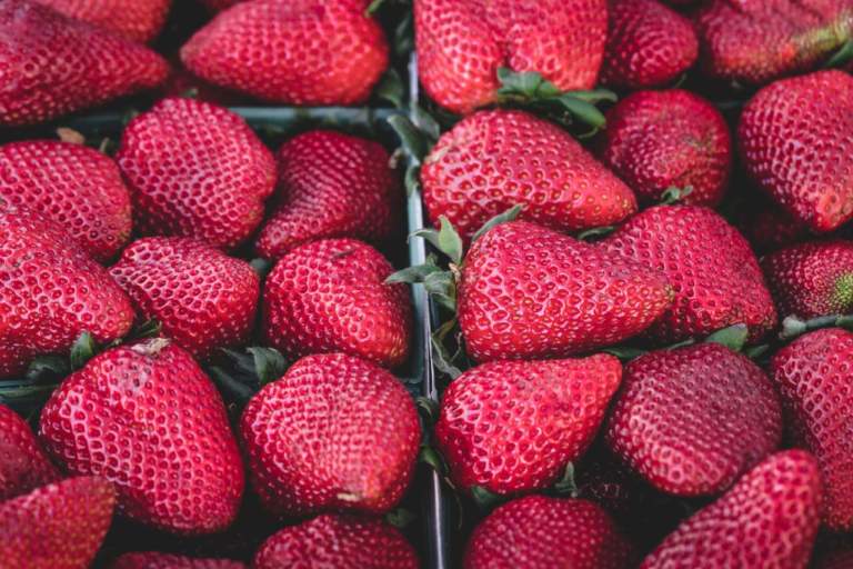 fragole