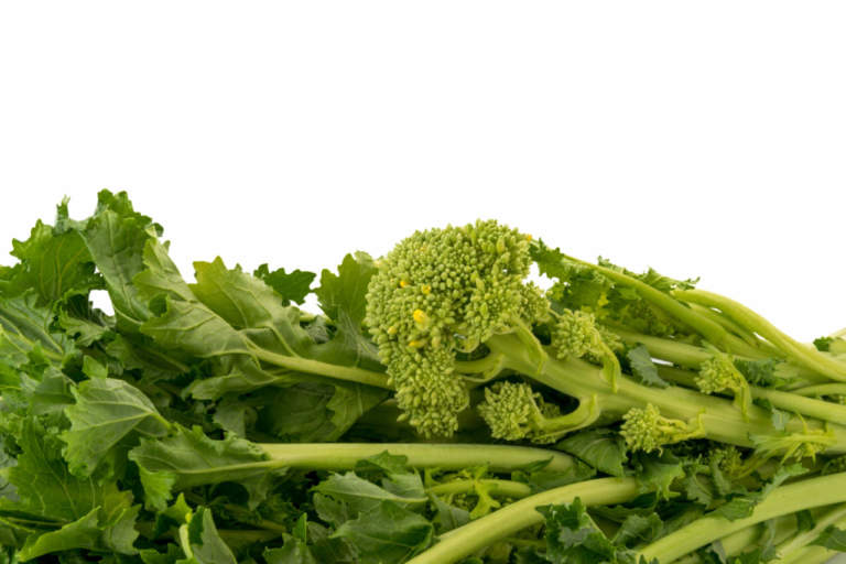 cime di rapa