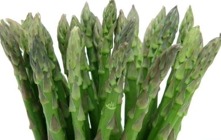 asapragi