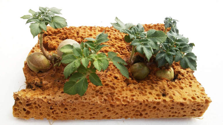 space farming