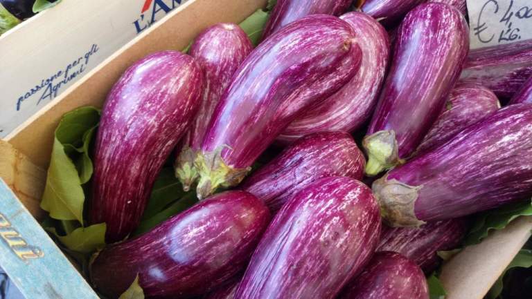 melanzane