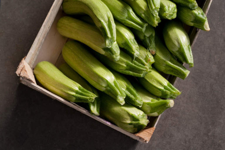 zucchini