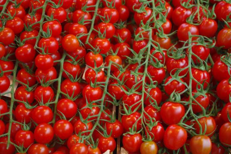 pomodori