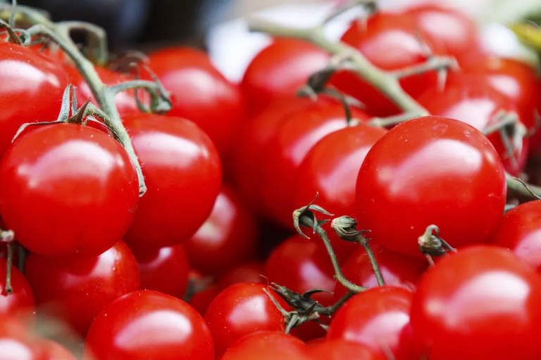 pomodoro