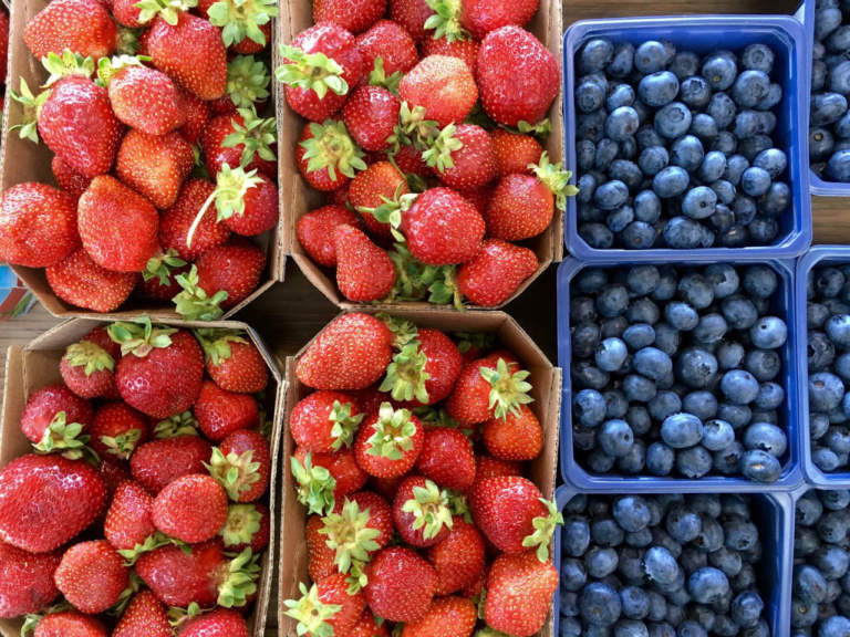 fragola