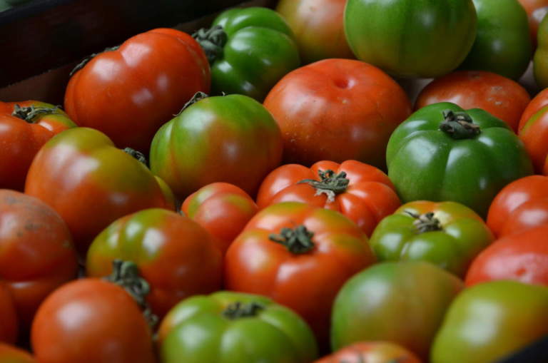 pomodori