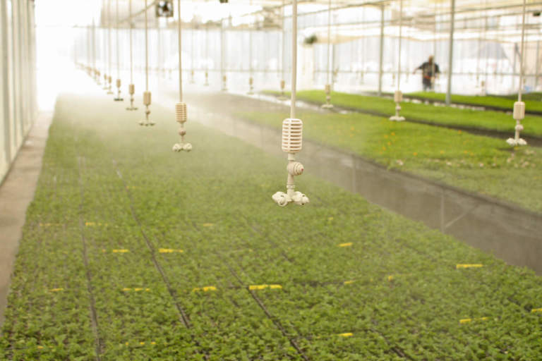 irrigazione efficiente