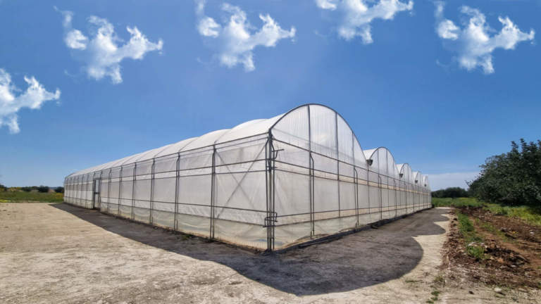 film plastici agricoltura