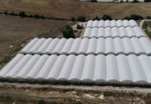 risparmio idrico in agricoltura