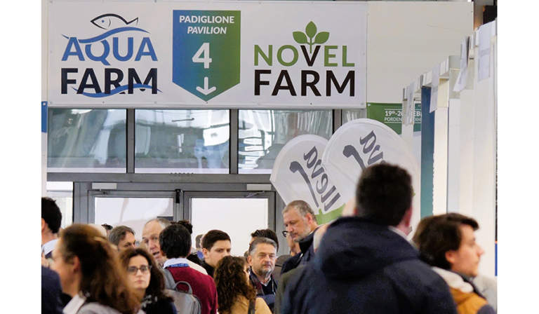 NovelFarm 2024