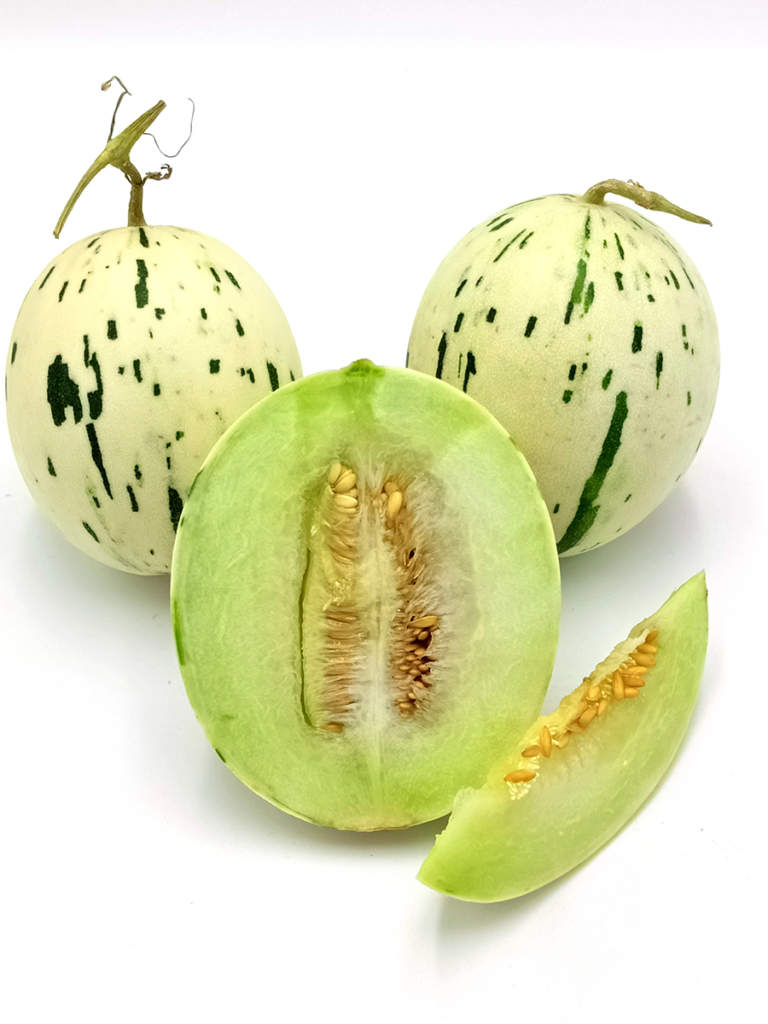 melone varietà midori