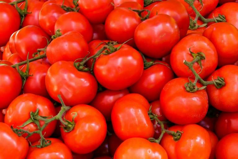 pomodori