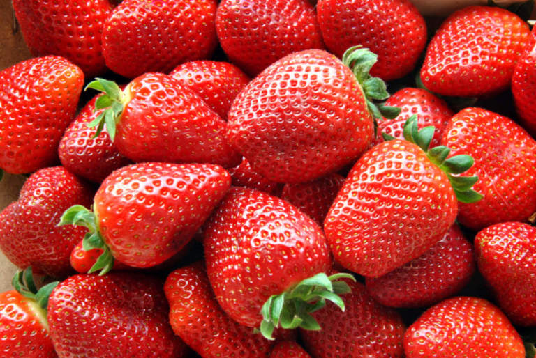 fragola